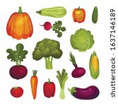 fresh vegetables isolated on... | Shutterstock .eps vector #1637146189