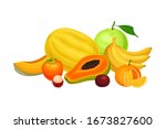 exotic fruits composition with... | Shutterstock .eps vector #1673827600