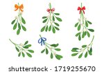 Mistletoe or Viscum Branches with Oblong Leaves and Berries Tied in Ribbons Vector Set