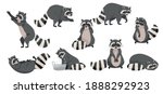 funny raccoon with dexterous... | Shutterstock .eps vector #1888292923