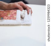Small photo of Owner tending Winter White Hamster in deathbed on white background. Pet animal death, Illness, Life moment, Truth moment, Farewell, Tears, Sadness, Sympathy, Rest in Peace, Parting and Goodbye concept