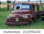Old Rusted Dodge  Truck In A...