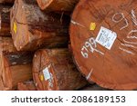 Small photo of Melgaco, Para, Brazil - Nov 08, 2021: Identification tag of log extracted from an area under concession of the brazilian government for sustainable forest management in "Caxiuana" National Forest.