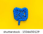 Small photo of Intestines health. Guts on yellow background top view copy space