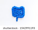 Small photo of Intestines health. Guts on white background top view copy space