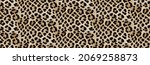 Leopard skin texture pattern...