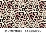 Leopard nature