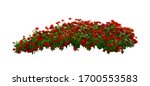 Red Flowers Bush Tree Isolated...