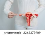 Small photo of Woman holding Uterus and Ovaries model. Ovarian and Cervical cancer, Cervix disorder, Endometriosis, Hysterectomy, Uterine fibroids, Reproductive system and Pregnancy concept
