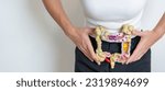 Small photo of Woman holding human Colon anatomy model. Colonic disease, Large Intestine, Colorectal cancer, Ulcerative colitis, Diverticulitis, Irritable bowel syndrome, Digestive system and Health concept