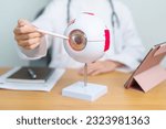 Small photo of Doctor with human Eye anatomy model with magnifying glass. Eye disease, Refractive Errors, Age Related Macular Degeneration, Cataract, Diabetic Retinopathy, Glaucoma, Amblyopia, Strabismus and Health