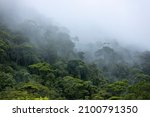 Small photo of Cloud formation in Brazilian amazon rainforest during monsoon wet season with treetops sticking out of abundant woods on a mountain slope. Climate change and natural phenomenon concept.