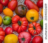 Small photo of Fresh colorful tomatoes on wood wool background, closeup. Best Heirloom Tomato Varieties in country market. Delicious Heirloom Tomatoes mix in summer