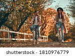 Young couple with bicycles in...