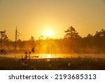 Small photo of yellow bright sunrise dawn on the swamp. Reflections of trees in lakes. Sunset, warm light and fog. Viru swamps Estonia