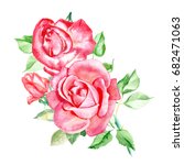 Three Pink Roses. Watercolor...