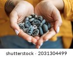 Numerology Numbers Concept. Numerology Calculate Life Path and Destiny Numbers. Many pebble stones with painted numbers in female palms