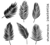 coconut leaf silhouette or set... | Shutterstock .eps vector #1464549536