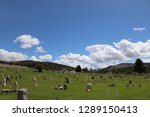 A Cemetery In Utah On Memorial...