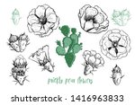 Prickly Pear Flowers Set. Hand ...