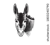  Donkey Head. Hand Drawn...