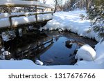 Small photo of Pretty little pond, unfrozen despite winter's chill thanks to the artesian wells that keep the water flowing. Pretence Park, Ashland, Wis.