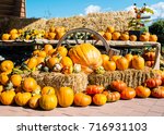 A rustic autumn still life with organic pumpkins in the hay.