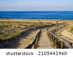 Beach access wooden pathway of atlantic sea in sand dunes with ocean in Hossegor France southwest