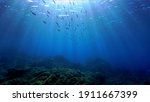 Underwater Landscape With...