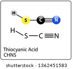 thiocyanic acid molecule... | Shutterstock .eps vector #1362451583