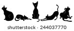 set of black cats | Shutterstock .eps vector #244037770