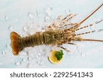 Spiny Lobster Seafood On Ice ...