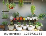Mini Garden With Pot Flowers At ...