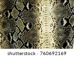 leather surface with python skin texture