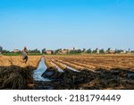 Small photo of Menoufia, Egypt, ‎September 2, ‎2017: Egyptian farmer walking by irrigation canals on a farm on a sunny summer day and peasant houses in the background with a clear sky