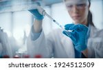 Small photo of Medical Research Laboratory: Portrait of a Beautiful Female Scientist Using Micro Pipette for Analysis. Advanced Scientific Lab for Medicine, Biotechnology, Microbiology Development. Hands Close-up
