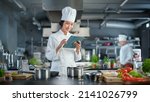 Small photo of World Famous Restaurant: Asian Female Chef Cooking Delicious and Authentic Food, Uses Digital Tablet Computer While Working in a Modern Professional Kitchen. Preparing gourmet organic Dishes