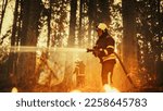 Small photo of Portrait of a Handsome Professional Firefighter Methodically Extinguishing a Forest Fire with the Help of a Fire Hose. Firemen Brigade Rescuing Wildland from Uncontrollable Arson.
