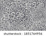 black and white floral seamless ... | Shutterstock .eps vector #1851764956