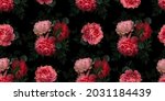 floral summer seamless pattern. ... | Shutterstock . vector #2031184439