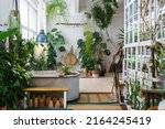 Small photo of Home garden in retro style. Scandinavian interior design of winter indoor garden with houseplants. Old house orangery with potted tropic flowers, monstera, ceramic pots in boho. Greenhouse concept