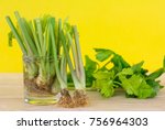 Small photo of regrowing celery from stalk, use the stem ends of celery, pre-soak stalk in the water and planting into the soil