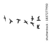 set of birds flock  flying... | Shutterstock .eps vector #1837277950