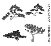 set of bonsai trees. hand drawn ... | Shutterstock .eps vector #2038979219