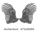 wings pair set. hand drawn... | Shutterstock . vector #671628283