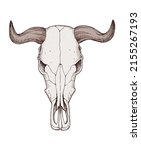 buffalo skull. hand drawn... | Shutterstock .eps vector #2155267193