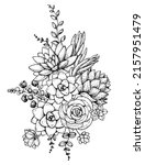 succulent sketch composition.... | Shutterstock .eps vector #2157951479