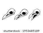 Set Of Three Simple Bird Skulls