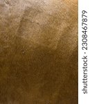 Small photo of cowhide texture. cowhide close up. abstract background