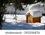 A Small Wooden Shed Covered In...